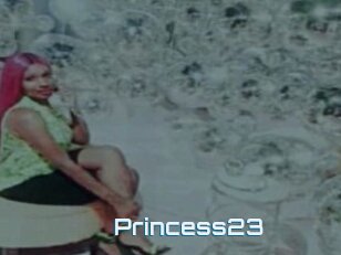 Princess23