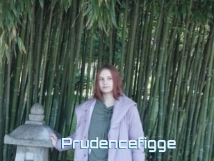 Prudencefigge