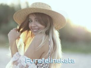 Purefelinekata