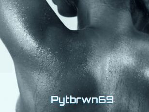 Pytbrwn69