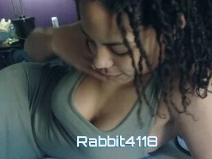 Rabbit4118