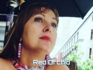 Red_Orchid
