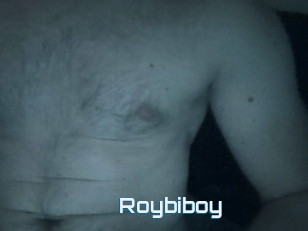 Roybiboy