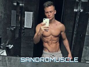 SANDRO_MUSCLE