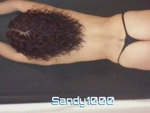 Sandy1000