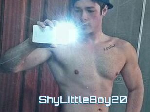 ShyLittleBoy20