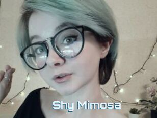 Shy_Mimosa