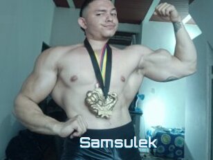 Samsulek