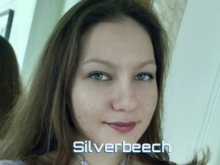 Silverbeech