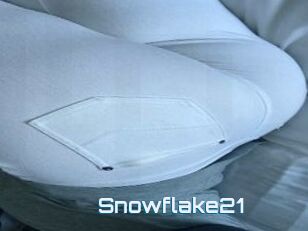 Snowflake21