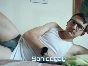 Sonicegay