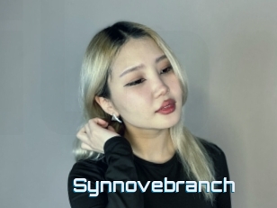 Synnovebranch