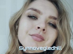 Synnovegledhill