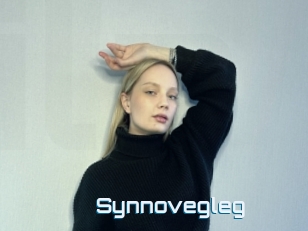 Synnovegleg