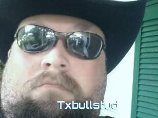Txbullstud