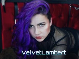 VelvetLambert