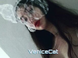 VeniceCat