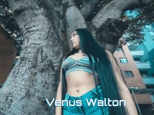 Venus_Walton