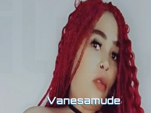 Vanesamude