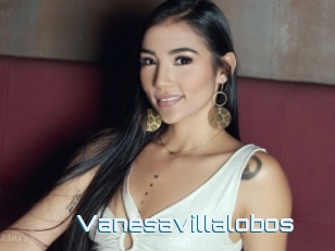 Vanesavillalobos