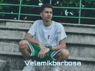 Velamikbarbosa