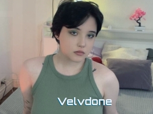 Velvdone