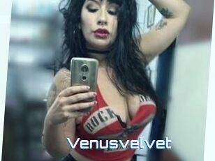 Venusvelvet