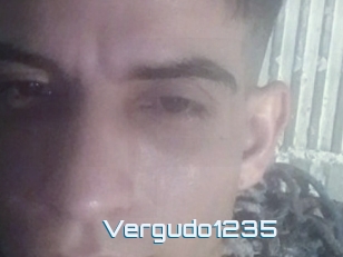 Vergudo1235