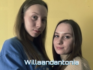 Willaandantonia