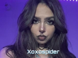 Xoxospider