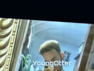 YoungOtter