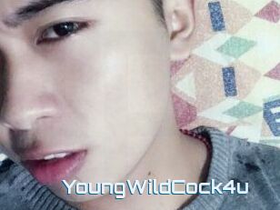 YoungWildCock4u