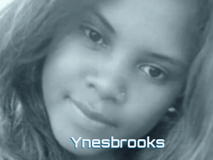 Ynesbrooks