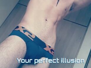 Your_perfect_illusion