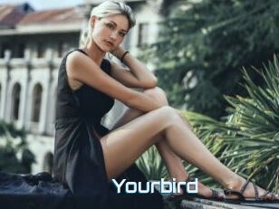 Yourbird