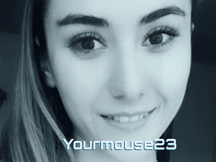 Yourmouse23