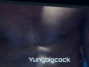 Yungbigcock