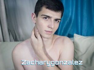 Zacharygonzalez