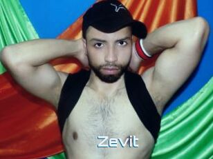 Zevit